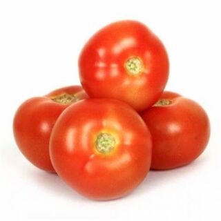 TOMATOES LOCAL-REGULAR