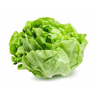 LETTUCE LOCAL